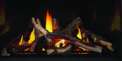 Napoleon Altitude X 36" Direct Vent Fireplace with Electronic Ignition, Natural Gas (AX36NTE)